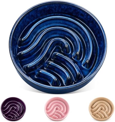 vancasso Slow Feeder Dog Bowl, 1.5 Cup Ceramic Slow Feeding Food ...