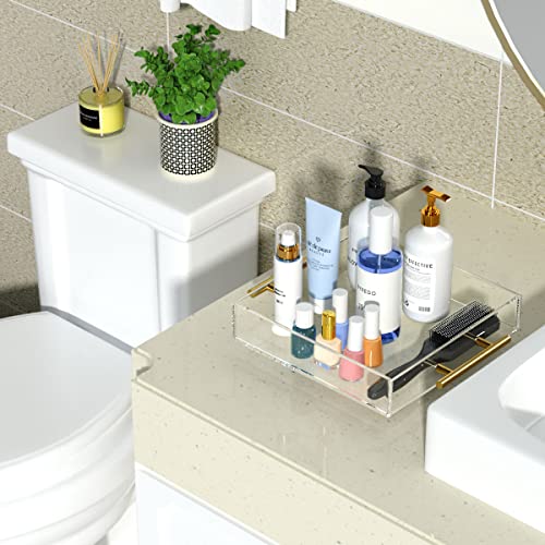 Niubee NBAU-20231213 Clear Serving Tray 12X12 Inches -Spill Proof- Acrylic Decorative Tray Organiser thumb #7