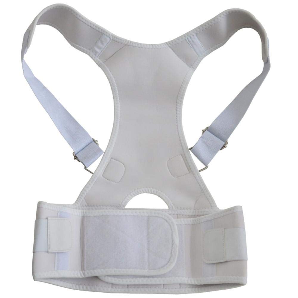 Cinturón De Soporte Lumbar Y Corrector De Postura Cinturón Deportivo Para Soporte De Espalda Y Alivio Del Dolor De Espalda-nude_l Soporte De Espalda Soporte De Hombro Cinturón De Soporte De Espalda