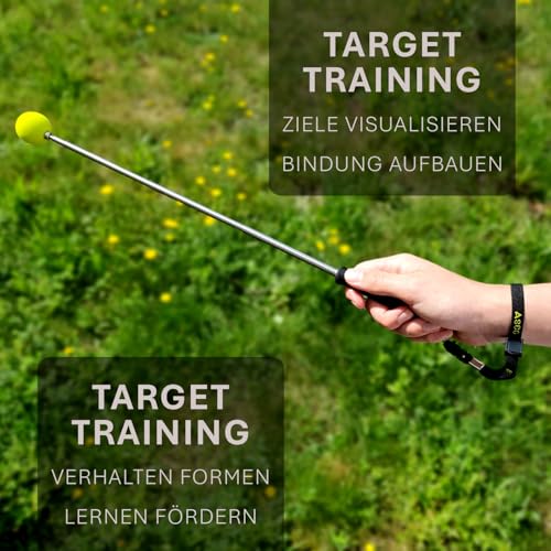ASCO Target Stick - Target Stab für Hunde Katzen Targettraining - Targetstick ausziehbar mit Softball - Edelstahl Targetstab mit Teleskopfunktion, schwarz
