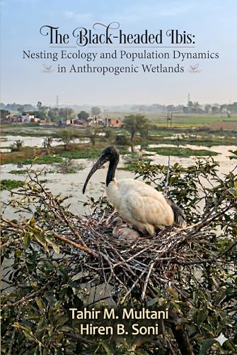 The Black-headed Ibis: Nesting Ecology and Population Dynamics in Anthropogenic Wetlands