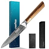 aisyoko Paring knife 5 inch sharp fruit utility knife-Japanese VG-10 super steel 67 layer Damascus s