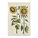 Sunflowers - 12 Blank Note Cards: 12 Blank Cards in 6 Designs with 12 Envelopes in a Keepsake Box