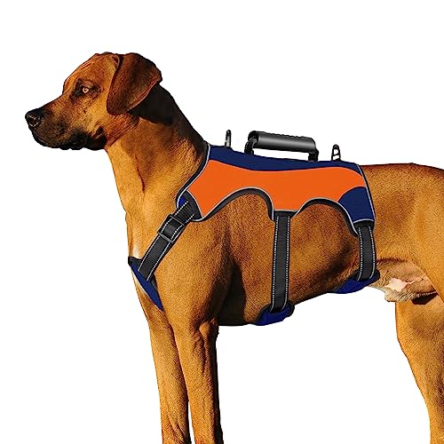 No Escape Dog Harness The 15 best products compared Wild Explained