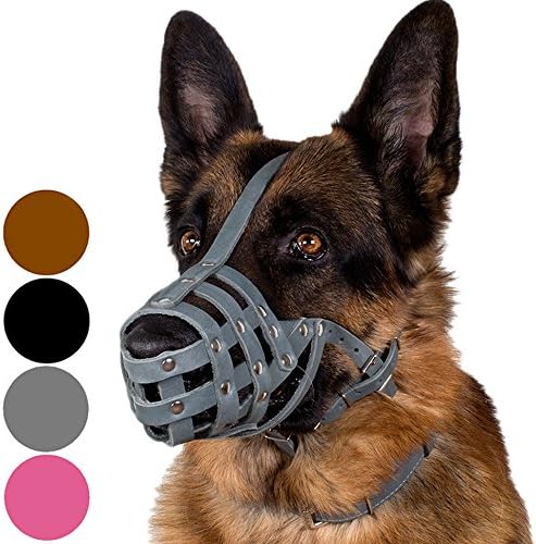 CollarDirect Dog Muzzle German Shepherd Dalmatian Doberman Setter Leather Basket Medium Large Breeds Black Brown (L, Grey)