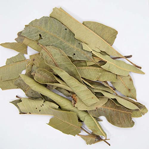 2oz Mango Leaves Dried, Hoja de Mango Seca by 1400s Spices
