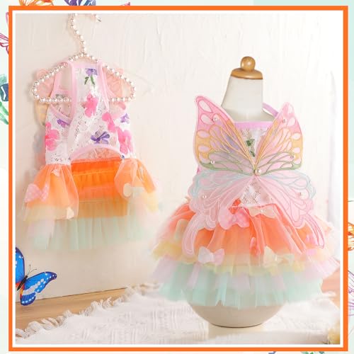 Yeyeplum Conjunto de 3 peças de vestidos de borboleta arco-íris para cães pequenos, tutu, roupas, co