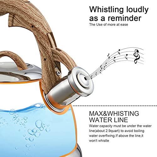 Tea Kettle -2.5 Quart Stovetop Whistling Teapot Stainless Steel Tea Pots For Stove Top Whistle Tea Pot #TOP3