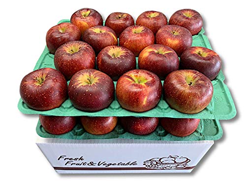 【TAKAOKAFRUIT】長野県産りんご「秋映(あきばえ)」 自家用 10Kg