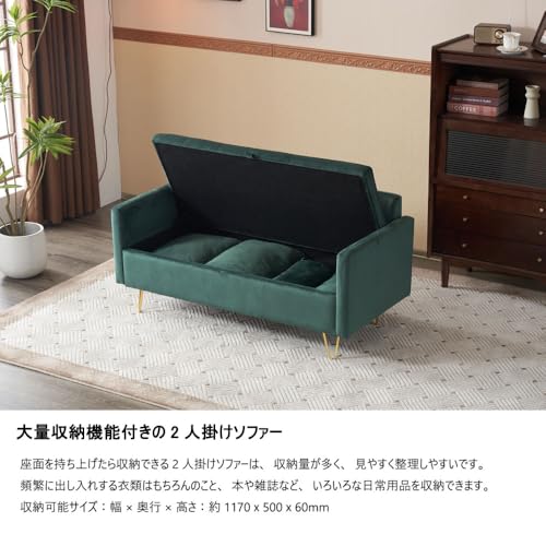 ソファー2人掛け収納付きクッション4個金属脚カウチ多機能アムレストイ自由二がおしゃれソファ [2]