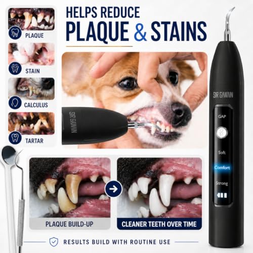 Image of SIRGAWAIN Pet Ultrasonic Dental Cleaner - Plaque, Tartar & Stains Remover, 4 Tips, 3 Modes, LED, Contact-Activated & Smart Touch Protection, Complete Cleaning Kit for Dogs & Cats (Black)