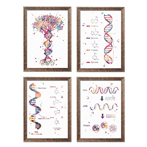 Framed DNA and RNA Gene Expression Watercolor Artwork Print Set Chemistry Laboratory Science Trainer Physician Biologist Chemist Scientist Nurse Wall Workplace Medical Decor Poster Portray Illustration Reward