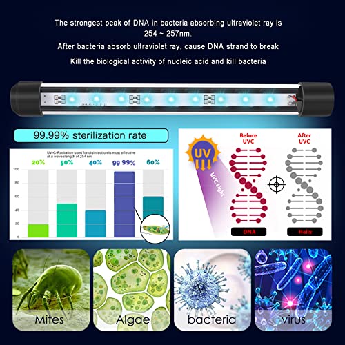 Jahea Aquarium Clean Light,3W Mini Uv Sanitizer Submersible Light,Fish Tank Led Light With Timer Auto On/Off,Aquarium Water Clean Green Clear Waterproof Clean Lamp For Pond,Swimming Pool,Indoor #TOP1
