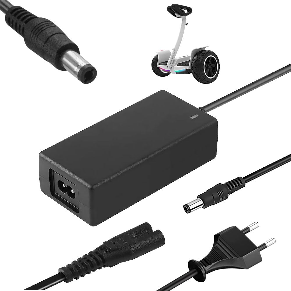 Vmxlso E Scooter Ladegerät 42V 2A