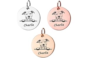 American Pit Bull Terrier Engraved Dog Charm: Tailor-made Keepsake for Dog Admirers