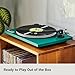 U-Turn Audio - Orbit Plus (Gen 2) Turntable, Walnut