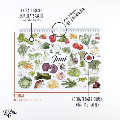Saisonkalender für Obst und Gemüse | Immerwährender Wandkalender mit heimischen Obst- und Gemüsesorten (Wandkalender)