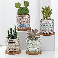 多肉植物 陶器鉢入り 小型*4 多肉植物 陶器鉢入り 小型*4 多肉植物 鉢 ミニ植木鉢 4点セット 母の日