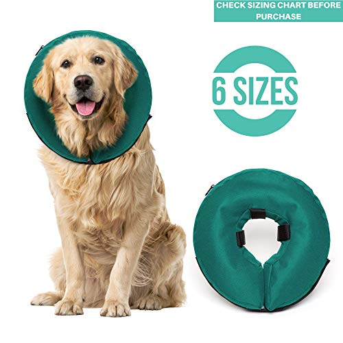ProCollar Protective Inflatable Recovery Collar for Dogs and Cats - Soft Pet Cone