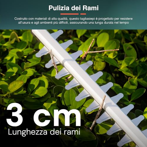 Avilia Tagliasiepi a Scoppio