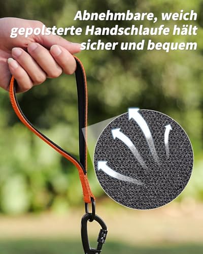 Joytale Schleppleine für Große und Mittlere Hunde, Starke Hundeleine 5m 10m 15m 20m Lang, Reflektierend mit Gepolstertem Griff, Abschließbarer Karabiner (Orange, 20m)
