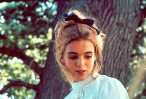 映画 みじかくも美しく燃え ネタバレあらすじと結末 感想 起承転結でわかりやすく解説 Hmhm ふむふむ