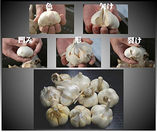 Amazon.co.jp: 青森 にんにく 5kg M玉サイズ以上混合 訳あり 青森