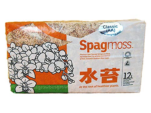 Geosism & Nature Fibra de Sphagnum de Nueva Zelanda (Besgrow) (150 g - 12 lt)