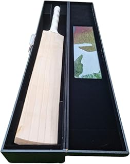 Grade 1 English Willow Cricket Bat, 34 Inch, Short Handle, Double Pressed with Box Cover, White