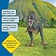 SCHLEICH Dinosaurs | Tyrannosaurus Rex 14587 | detailgetreuer Dino mit beweglichem Kiefer | tolles Geschenk für Mädchen und Jungen Dinosaurier Spielzeug ab 3 Jahre | 32 x 12 x 15 cm