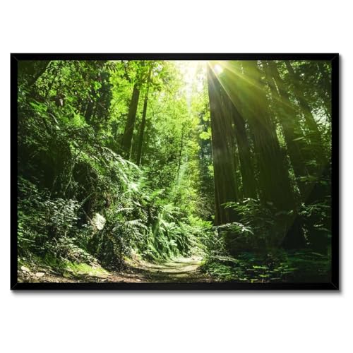 Poster paysage de forêt magique cadre blanc 70x50cm décoration murale salon