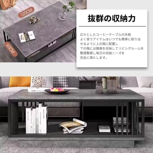 TUIYIDUO ローテーブル コーヒーテーブル 二段収納 120*60*43cm センターテーブル おしゃれ 大理石柄 金属フレーム 高い安定性 座卓 リビングルーム 家庭用 日本語説明書付き(ブラックスチールフレーム+ウィンググレー) [2]