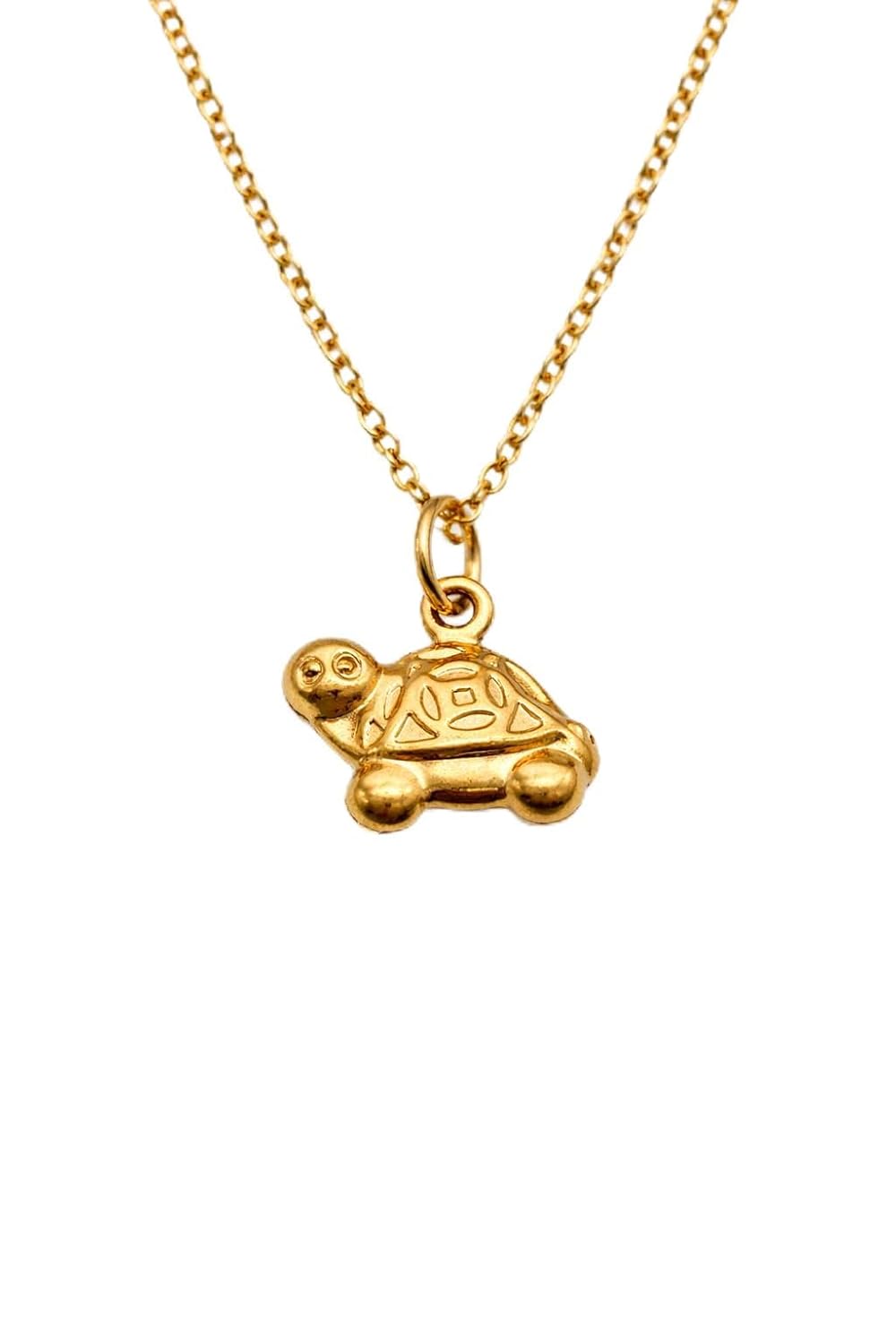 Heeraya Gold Plated Turtle Pendant Necklace for Women, Cute Minimal Charm, Daily Wear Elegant Jewellery Gift - Review, Price and Buying Guide
