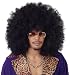 California Costumes Men's Super Jumbo Afro Wig,Black,One Size