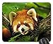 Produktbild Rot Panda Mauspad, Mousepad (Bears Mauspad)