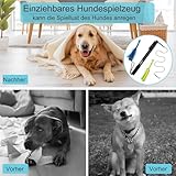 ETACCU Reizangel Hunde Große Hunde, Hundespielzeug Ausziehbar, 150cm Flirt Pole mit Seil Spielzeug, Hundespielzeug Für Kleine & Mittlere & Große