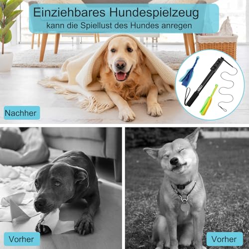 ETACCU Reizangel Hunde Große Hunde, Hundespielzeug Ausziehbar, 150cm Flirt Pole mit Seil Spielzeug, Hundespielzeug Für Kleine & Mittlere & Große