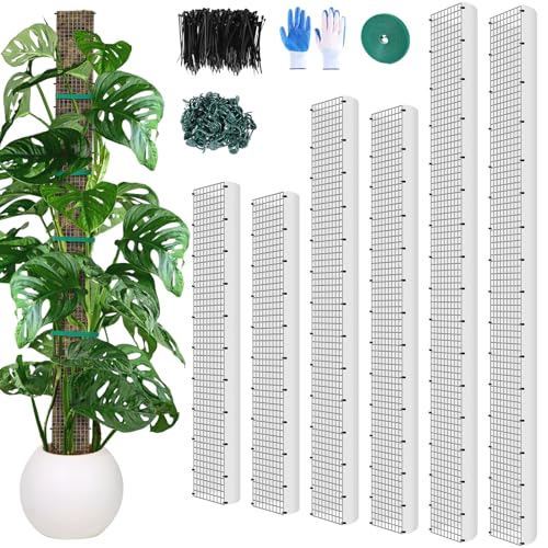 24+40+60 Metal Moss Pole - 6 Pack D Shape Sphagnum Moss Pole Moss Poles for Climbing Plants Monstera Climbing Plants Indoor