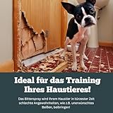 Sensipharm Bitterspray 100ml - Bittertropfen ohne Alkohol für Hunde und Katzen, Anti-Kau und Lecken Spray, Katzen Fernhaltespray Hunde für Möbel, Abwehrspray für Haustiere mit Bitteren Geschmack