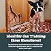 Sensipharm Bitterspray 100ml - Bittertropfen ohne Alkohol für Hunde und Katzen, Anti-Kau und Lecken Spray, Katzen Fernhaltespray Hunde für Möbel, Abwehrspray für Haustiere mit Bitteren Geschmack