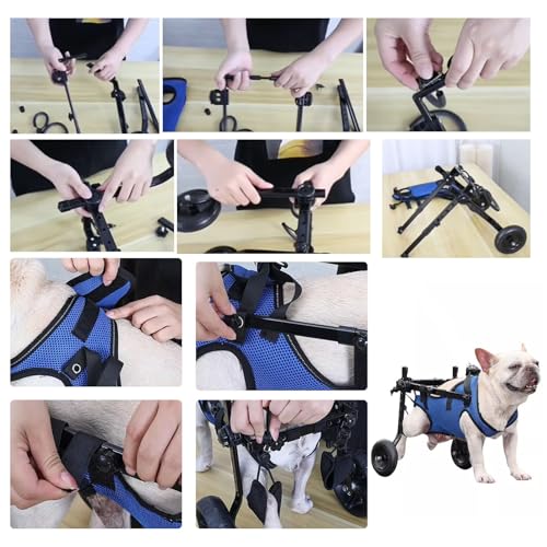 Fauteuil roulant pour chien pattes arrières blessées - 8