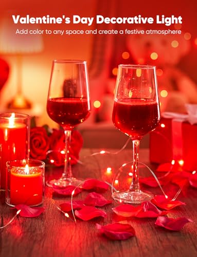 Image of Brightown 12 Pack LED Fairy Lights, Waterproof, Red, 7 Feet, 20 LEDs, Battery Operated, Flexible Silver Wire, Safe, Energy Saving, Long-Lasting, Indoor and Outdoor Use
