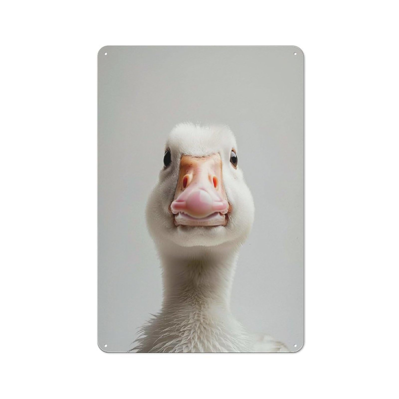 Junmoney Style-23 Goose Face Retro Tin Wall Plaque 30X20cm For Hobby Room Or Studio, For Garage, Workshop And Man Cave Decoration