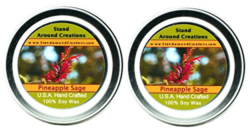 Premium 100% All Natural Soy Candles - Set of 2-2oz Tins - Pineapple/Sage: A Exotic Blend of Sweet Pineapple and Aromatic sage.