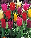 Blumenhandel Ullrich