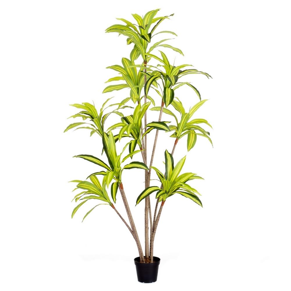 LOLAhome Planta Artificial Dracena para Interior y Exterior, 210 cm