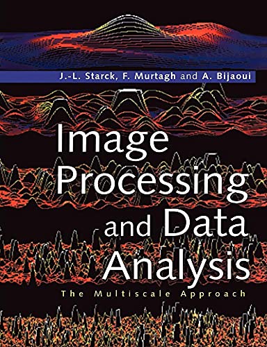 Image Processing and Data Analysis: The Multiscale Approach view 2