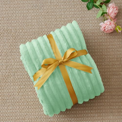 Image of BEDELITE Ribbed Twin Blanket for Couch & Bed, Light Green, 60 inchx80 inch | Ultra-Soft Plush Fleece, Cozy, Warm Yet Lightweight, Ribbed Texture, Home Decor, Machine Washable, Giftable, All-Season Use