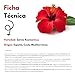 Imagen de Flor de Jamaica