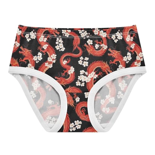 Joisal Bright Girls Underwear Toddler 2t Cotton Cute Panties Girl Red Dragon Flowers Briefs Girls Undies